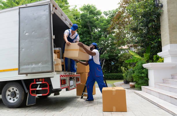 Removals