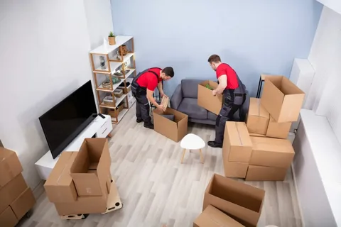 Packing Options Matched to Your Home, Not a Size Chart